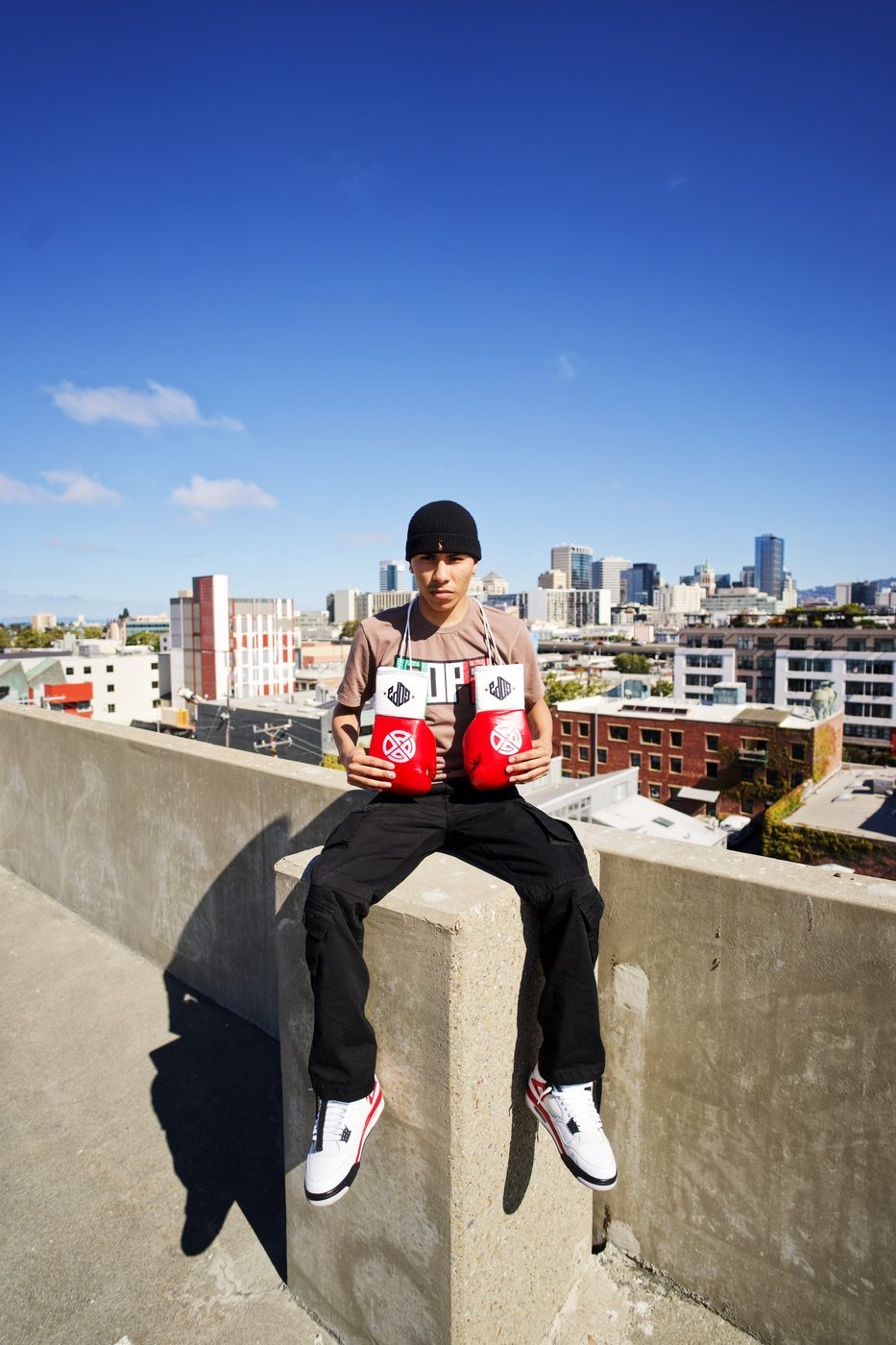 Gopa boxer with gloves above the Oakland skyline