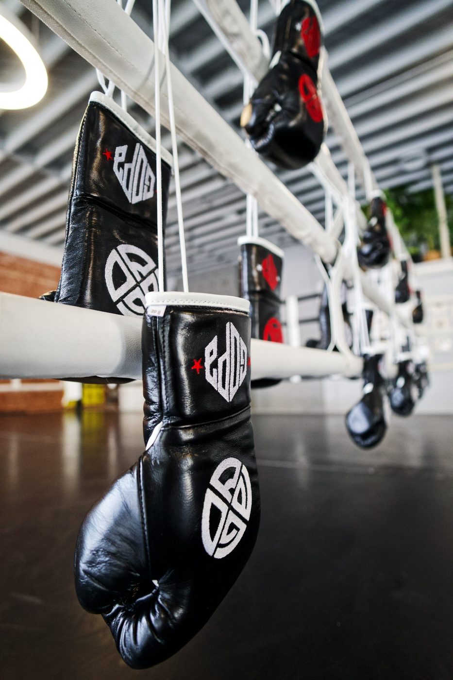 Gopa Boxing Club gloves hanging on the ring ropes in Oakland